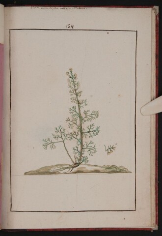 Anteprima dell'oggetto