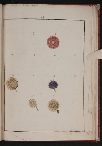 Anteprima dell'oggetto