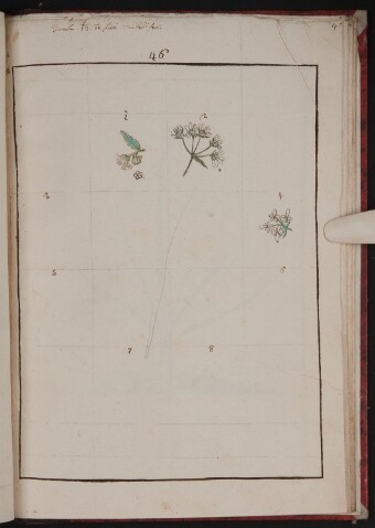 Anteprima dell'oggetto