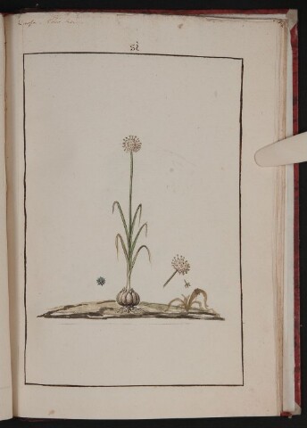 Anteprima dell'oggetto