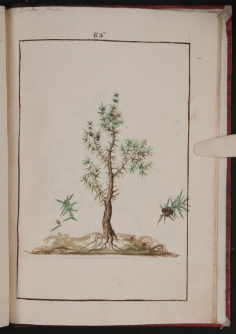 Anteprima dell'oggetto