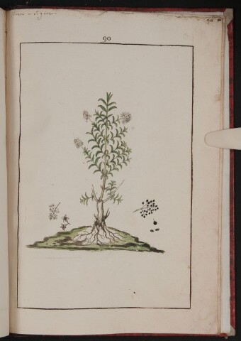 Anteprima dell'oggetto