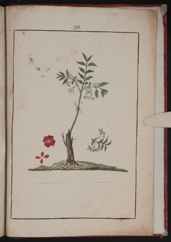 Anteprima dell'oggetto