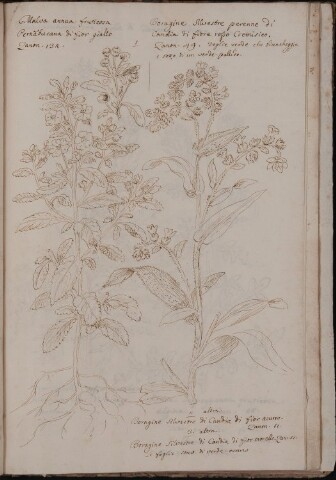 Anteprima dell'oggetto