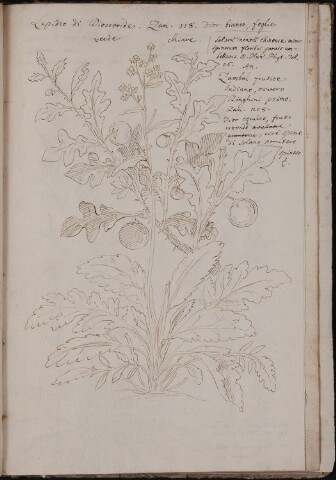 Anteprima dell'oggetto