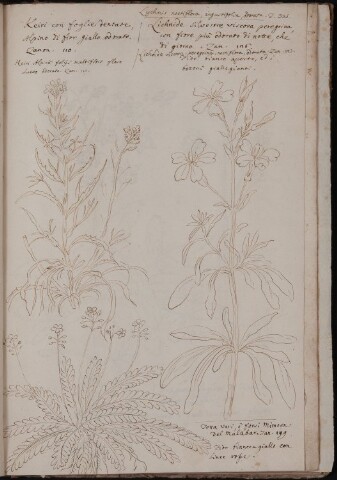 Anteprima dell'oggetto