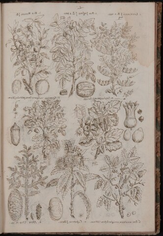 Anteprima dell'oggetto