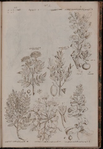 Anteprima dell'oggetto