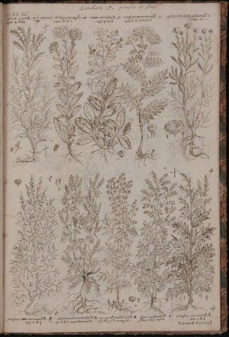 Anteprima dell'oggetto