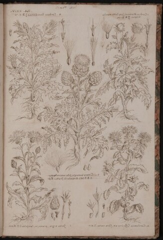 Anteprima dell'oggetto