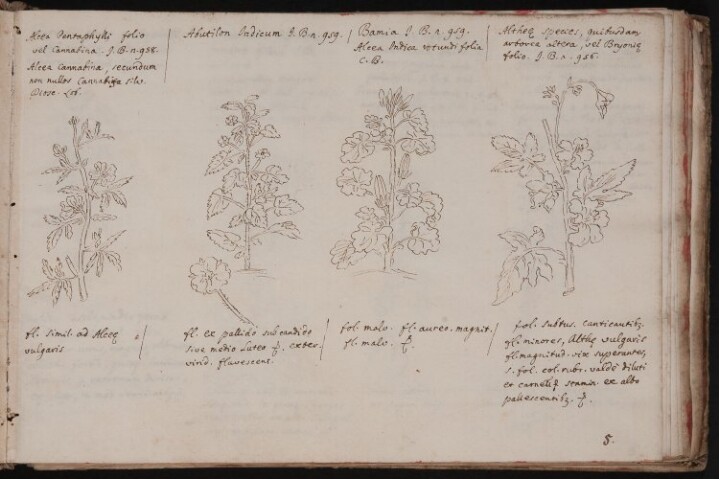 Anteprima dell'oggetto