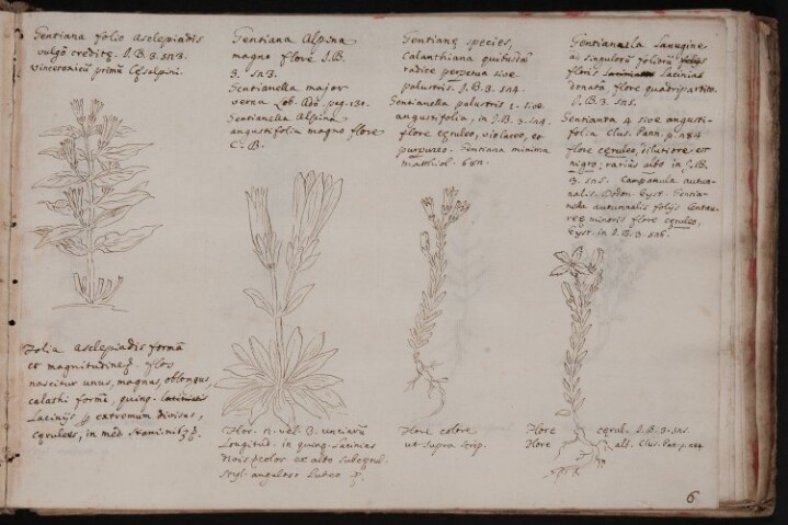 Anteprima dell'oggetto