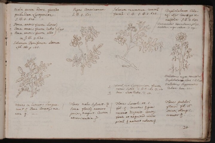 Anteprima dell'oggetto