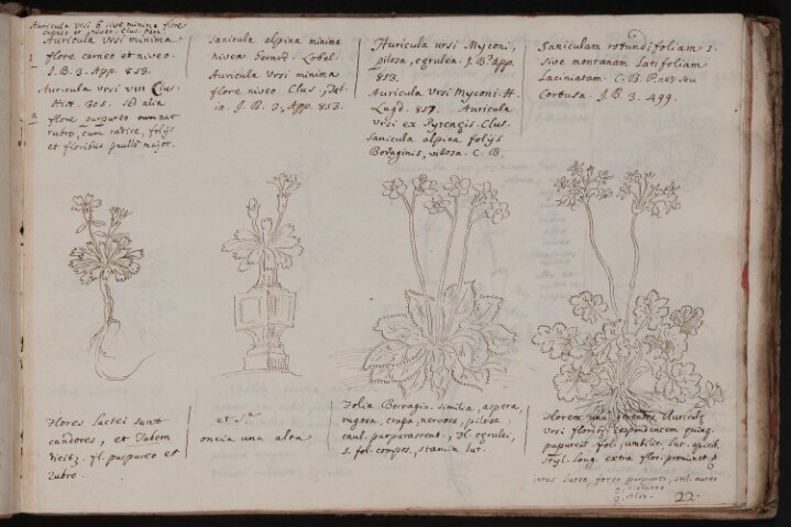 Anteprima dell'oggetto