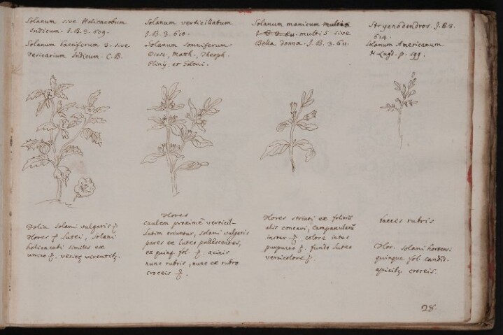 Anteprima dell'oggetto