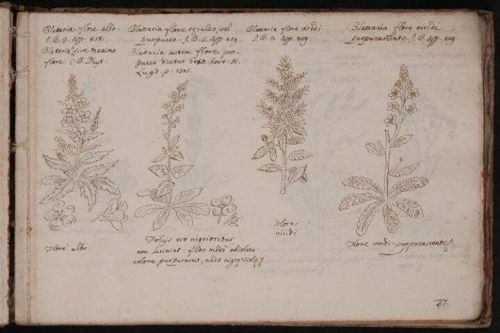 Anteprima dell'oggetto