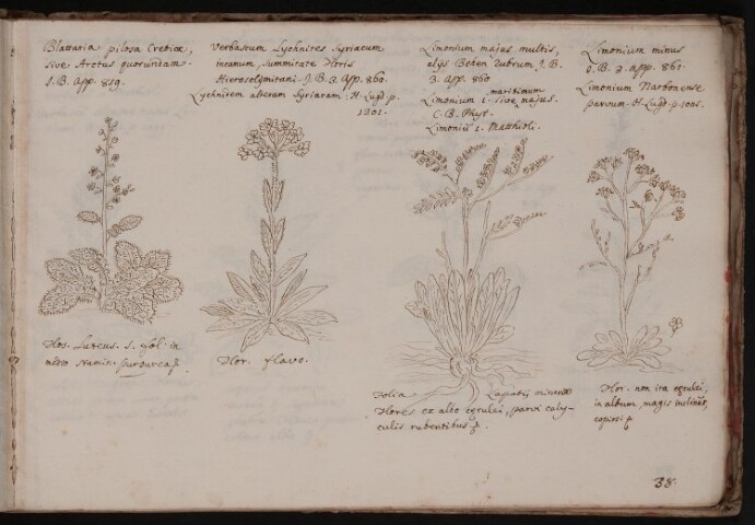 Anteprima dell'oggetto