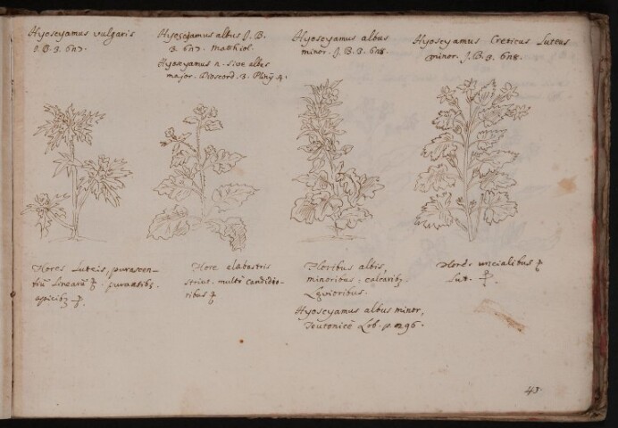 Anteprima dell'oggetto