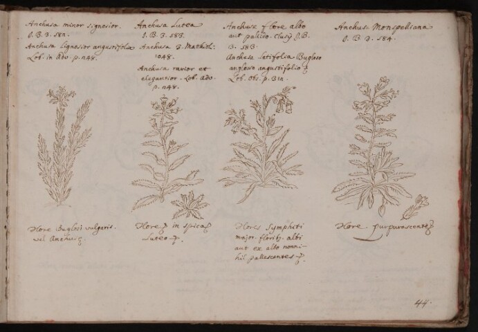 Anteprima dell'oggetto