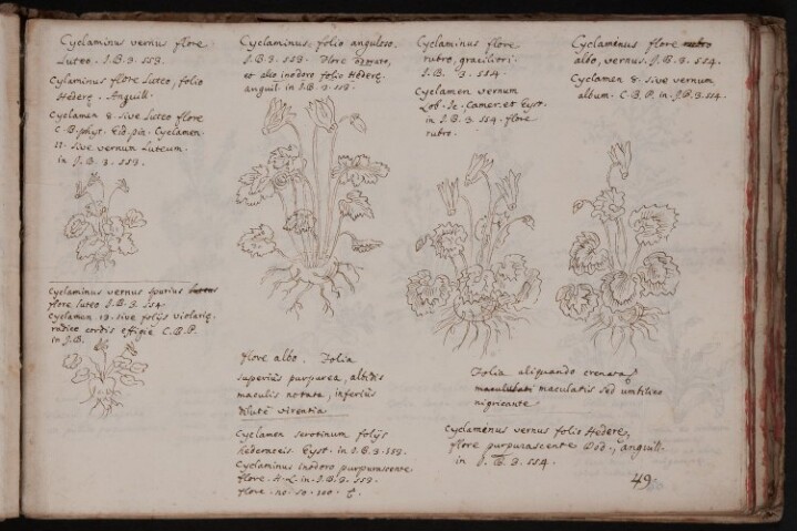 Anteprima dell'oggetto