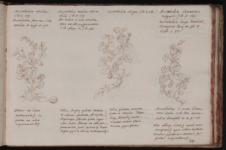 Anteprima dell'oggetto