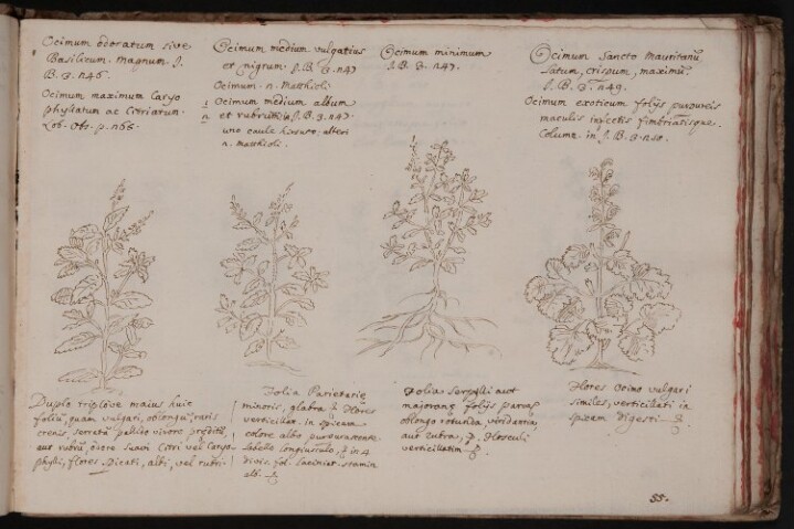 Anteprima dell'oggetto