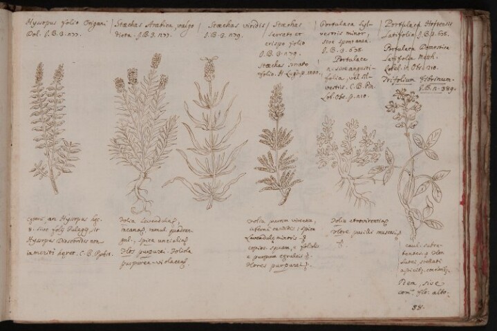 Anteprima dell'oggetto