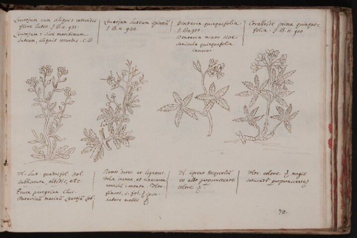 Anteprima dell'oggetto