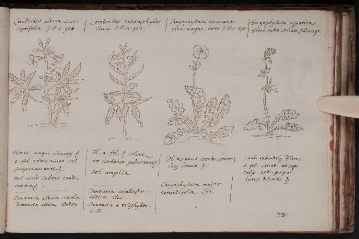 Anteprima dell'oggetto