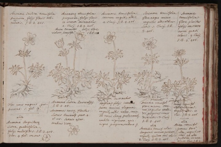 Anteprima dell'oggetto