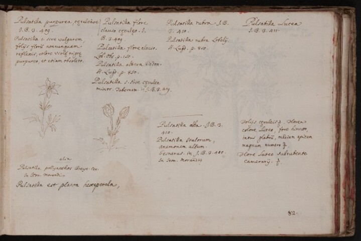 Anteprima dell'oggetto