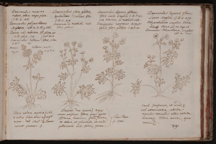 Anteprima dell'oggetto