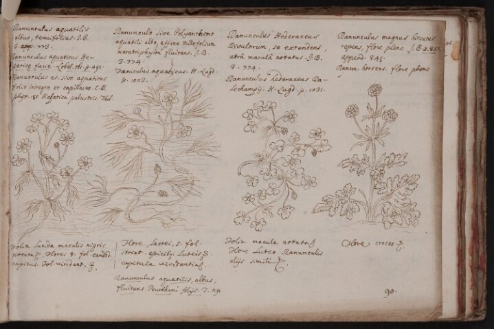 Anteprima dell'oggetto