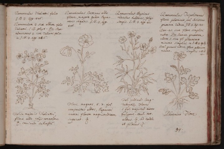 Anteprima dell'oggetto