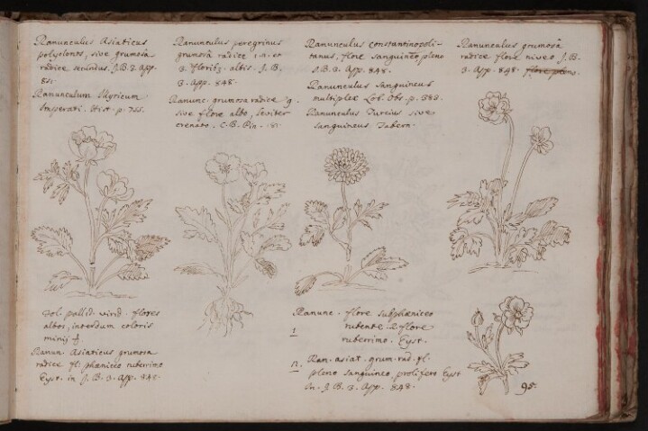 Anteprima dell'oggetto