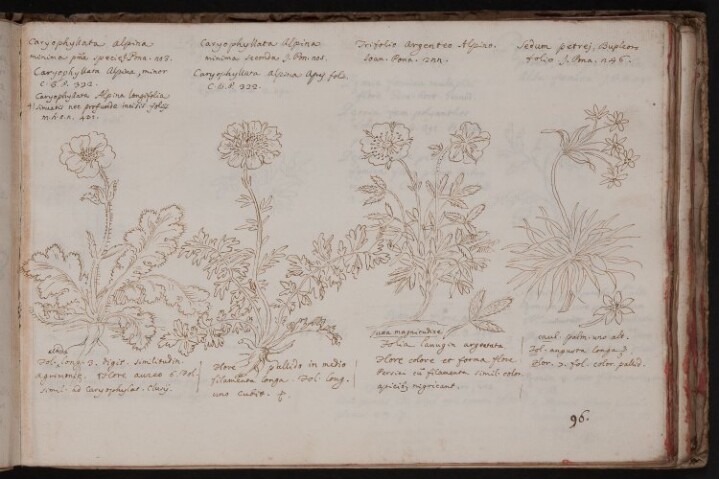 Anteprima dell'oggetto