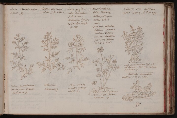 Anteprima dell'oggetto