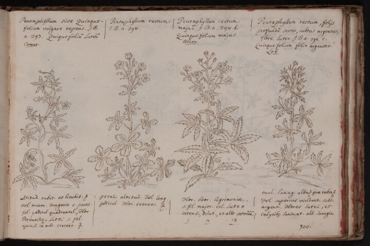 Anteprima dell'oggetto