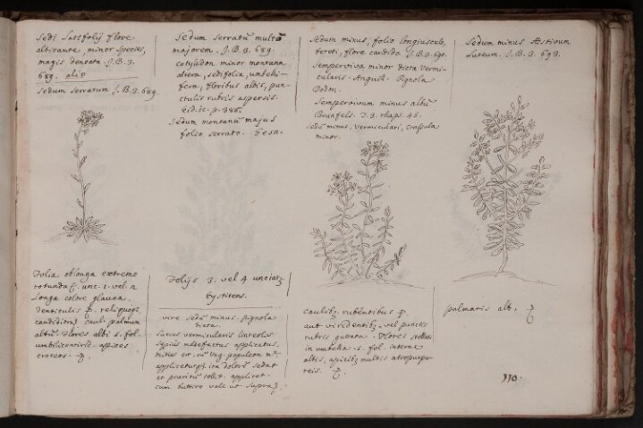 Anteprima dell'oggetto