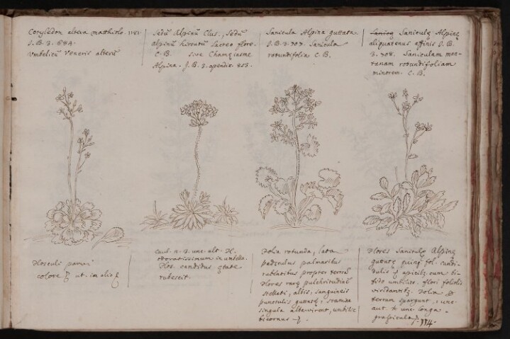 Anteprima dell'oggetto