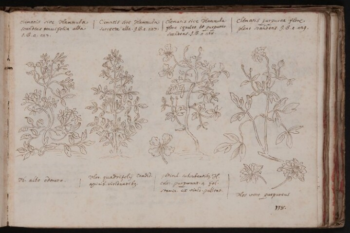 Anteprima dell'oggetto