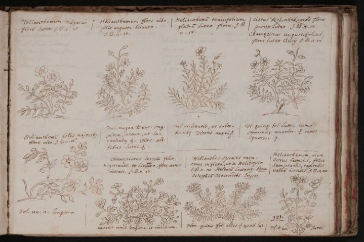 Anteprima dell'oggetto