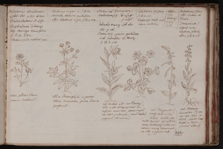 Anteprima dell'oggetto