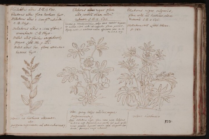 Anteprima dell'oggetto