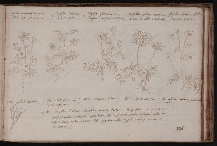 Anteprima dell'oggetto