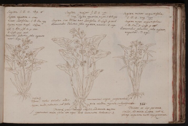 Anteprima dell'oggetto