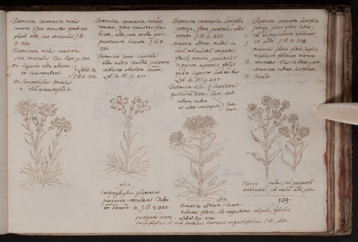 Anteprima dell'oggetto