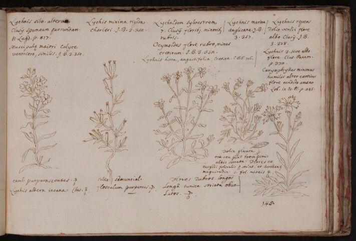 Anteprima dell'oggetto