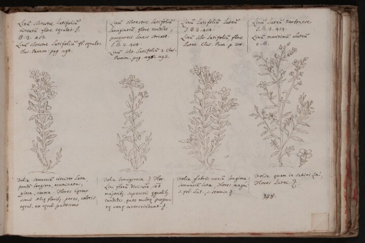 Anteprima dell'oggetto