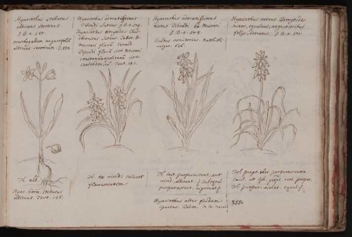 Anteprima dell'oggetto